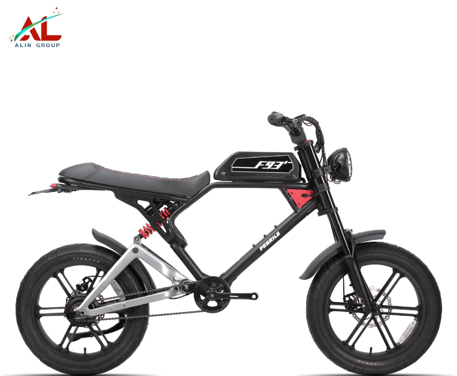 Electric Bicycle with Pedal 350W 500W 600W 800W Battery Bicycle