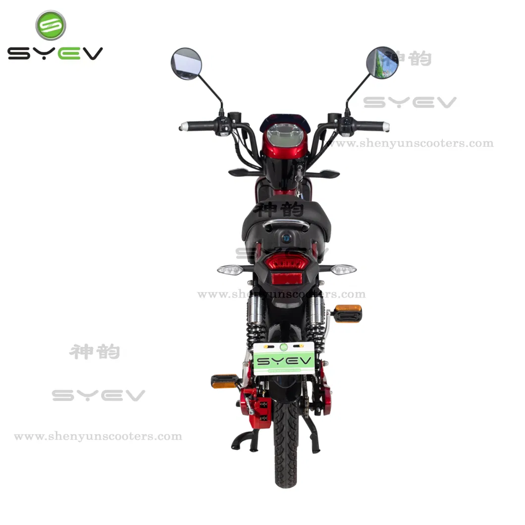 Syev EEC Electric Scooter for Adult with 800W Brushless DC Motor Shenyun