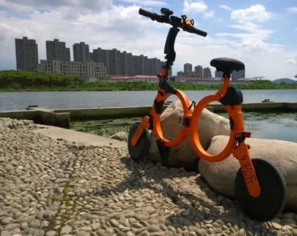 Ce/EEC/DOT Electric Bicycle Folding Lithium Battery with Bluetooth APP GPS